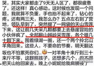 爆料雪莲的视频,视频爆料背后的惊人真相